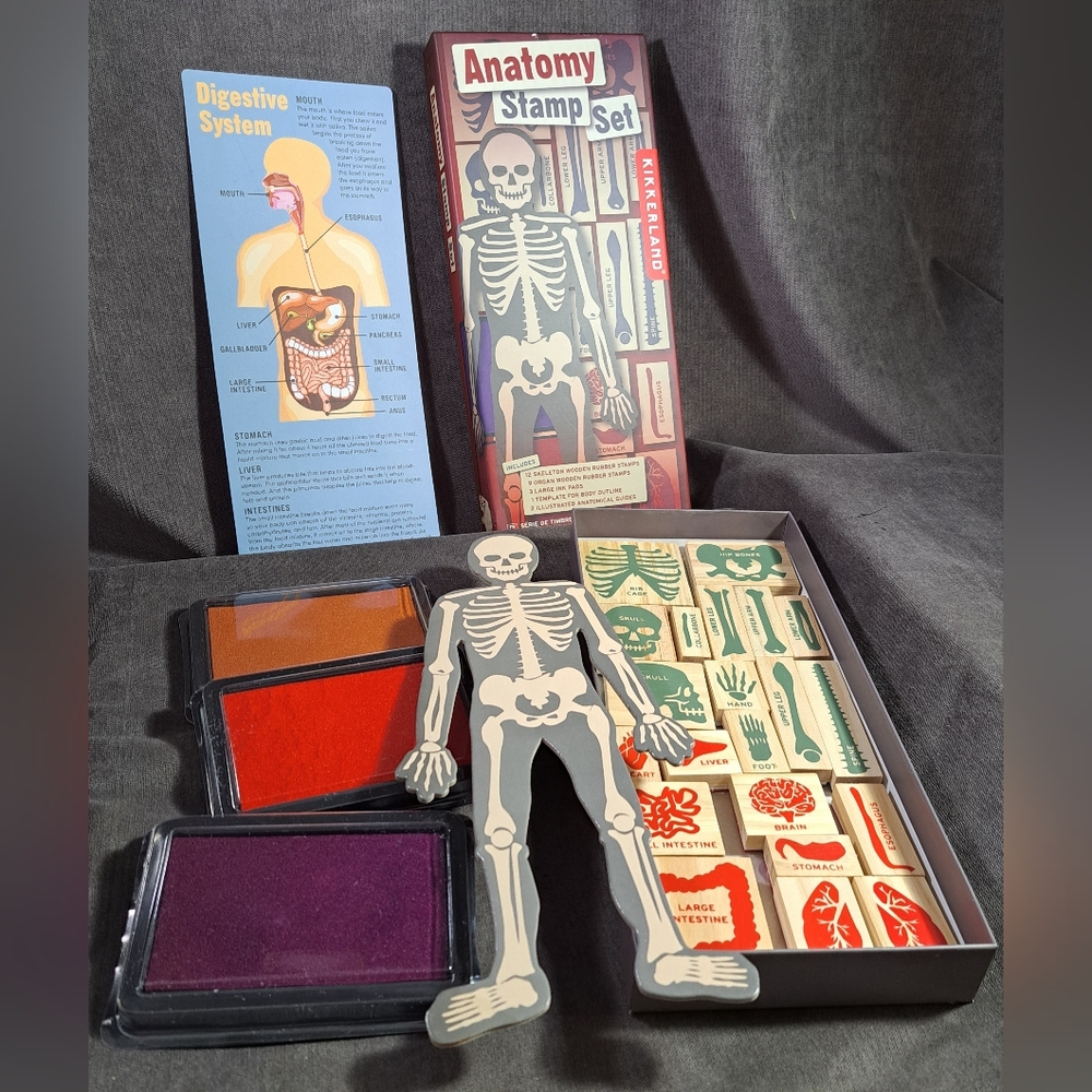 Kikkerland Anatomy Ink Stamp Boxed Set NWOT *UNUSED Age 3+ - Picture 8 of 10